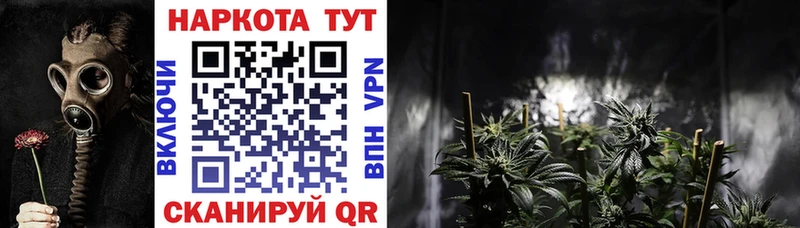 Наркошоп купить ГАШИШ  Марихуана  Альфа ПВП  МЕФ  Кокаин  Ворсма
