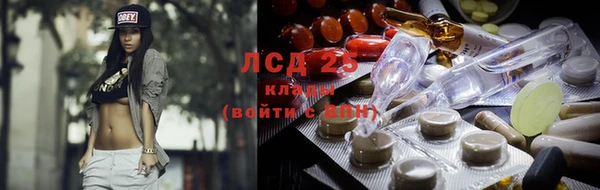 MESCALINE Аркадак