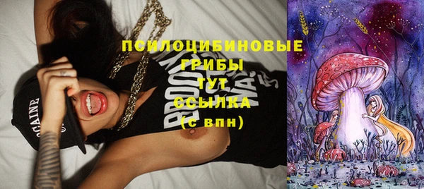 MESCALINE Аркадак