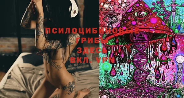 apvp Арсеньев