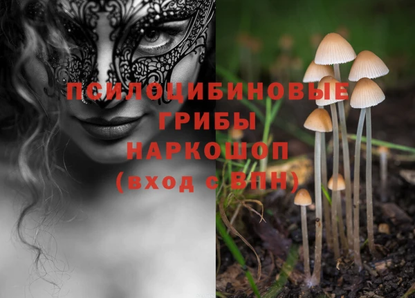 кокс Армянск